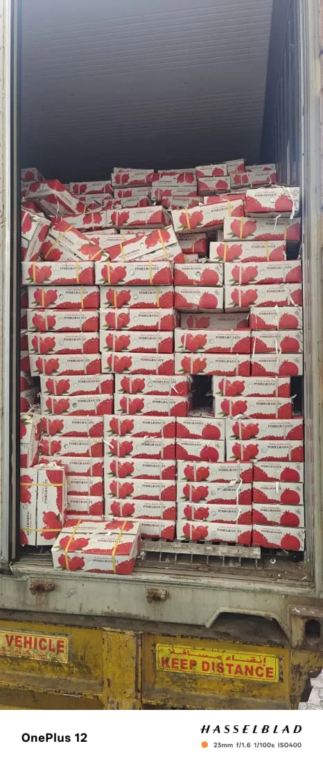 Food Commodity Storage